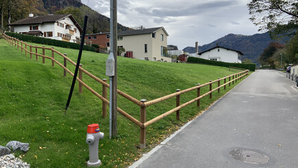 Halbrundlattenzaun aus dem 2019 in 9496 Balzers Schweiz von Zaunteam Heidiland.