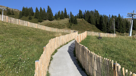 Naturzaun aus dem 2019 in 7252 Klosters Dorf Schweiz von Zaunteam Heidiland.