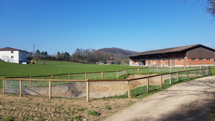 Halbrundlattenzaun aus dem 2019 in 5243 Mülligen Schweiz von Zaunteam Aargau AG.