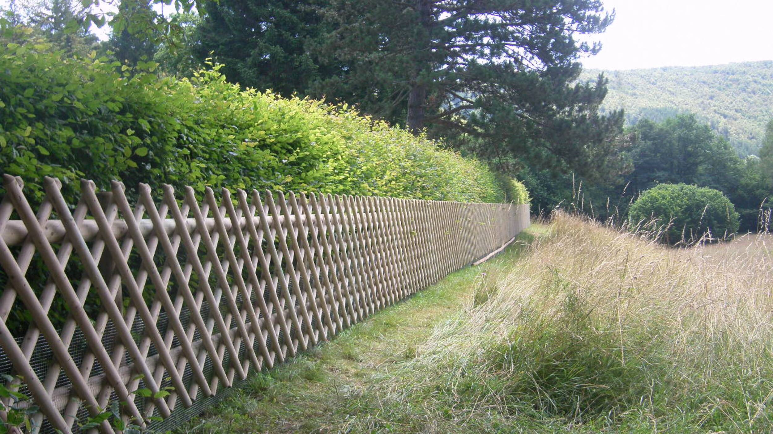 Zaunteam | Scherenzaun