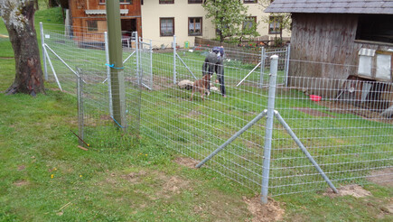 Tierschutzzaun aus dem 2016 in 3534 Signau Schweiz von Zaunteam Mittelland GmbH.