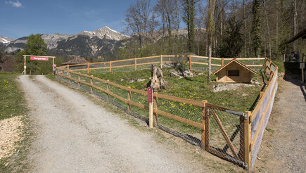 Holzzäune aus dem 2017 in 3858 Hofstetten bei Brienz Schweiz von Zaunteam Berner Oberland.